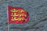 Molly Three Lions Flag