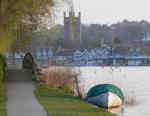 Molly Moored at Henley