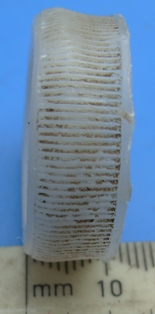 Lid2