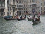 Venice 2011