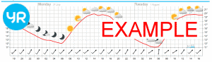 YR easy-Ready Forecast