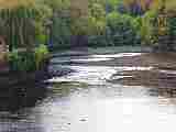 Allington low tide